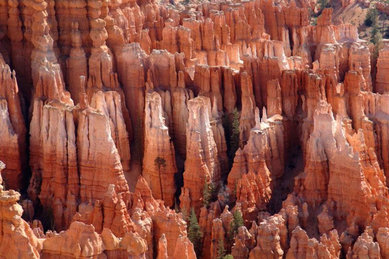 BEST0007 | 2005, BEST OF, Bryce Canyon NP-USA