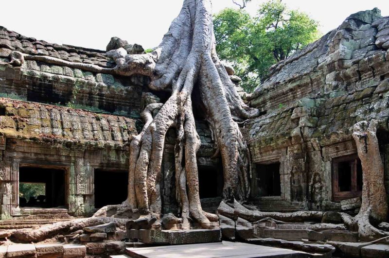 BEST0042 | 2009, Angkor Ta Prohm-KAMBODSCHA, BEST OF