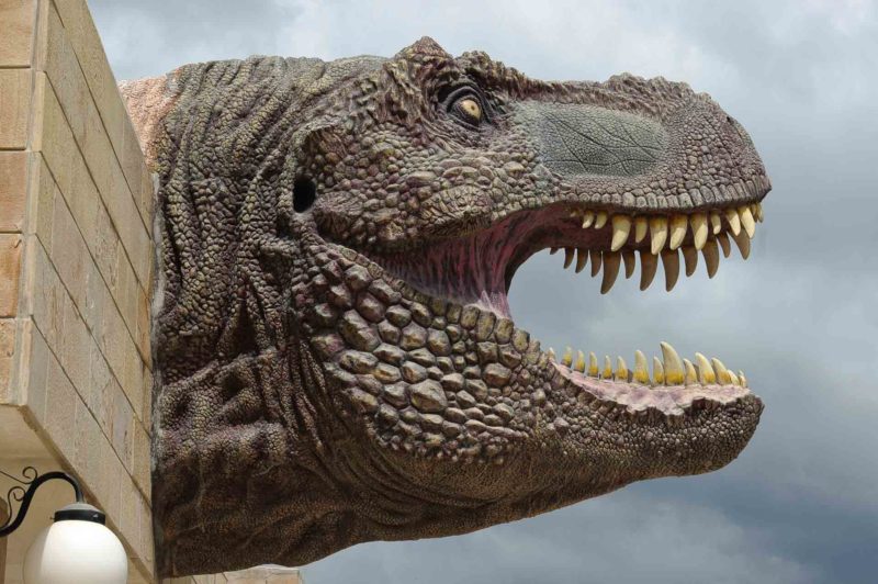 BOLI0053 | 2007, 2007-Bolivien, AMERIKA, Bolivien, Dinosaurierspuren, Sucre