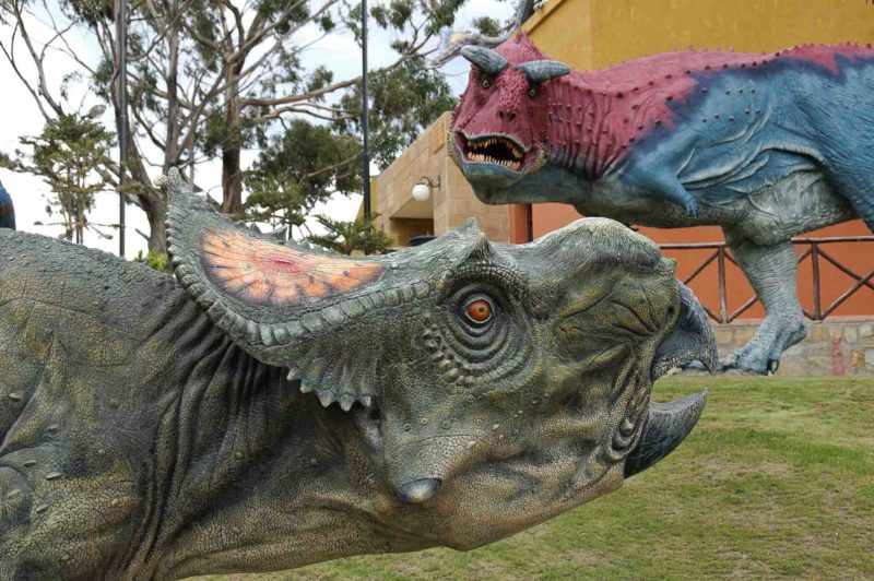 BOLI0054 | 2007, 2007-Bolivien, AMERIKA, Bolivien, Dinosaurierspuren, Sucre