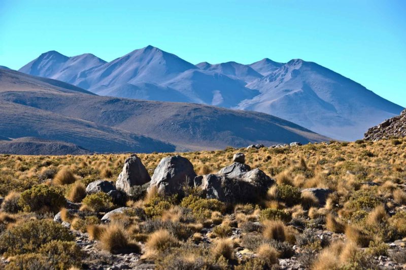 BOLI0140 | 2007, 2007-Bolivien, AMERIKA, Altiplano Bolivien, Bolivien