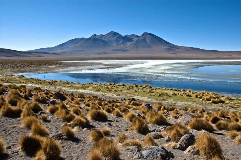 BOLI0141 | 2007, 2007-Bolivien, AMERIKA, Altiplano, Altiplano Bolivien, Bolivien, Laguna Canjapa