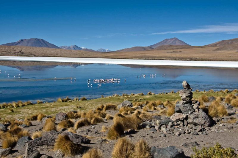 BOLI0142 | 2007, 2007-Bolivien, AMERIKA, Altiplano, Altiplano Bolivien, Bolivien, Laguna Canjapa