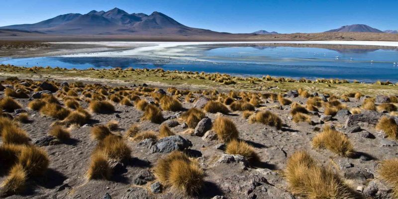 BOLI0143 | 2007, 2007-Bolivien, AMERIKA, Altiplano, Altiplano Bolivien, Bolivien, Laguna Canjapa