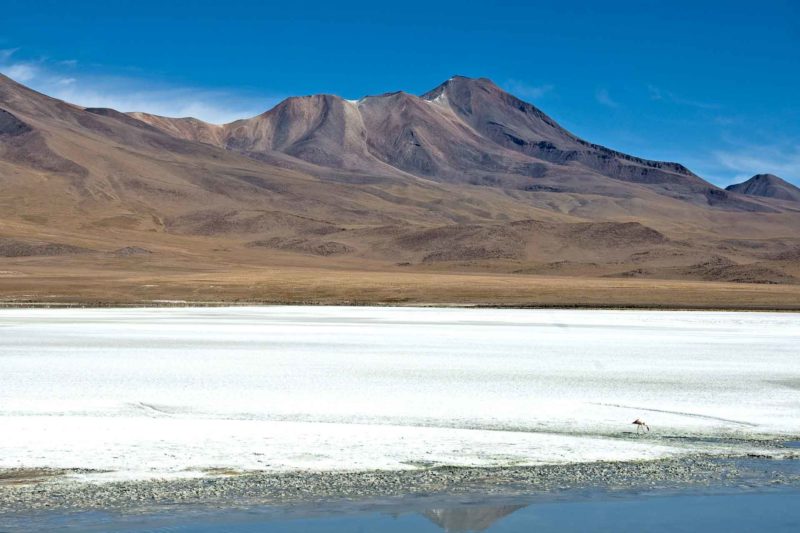 BOLI0149 | 2007, 2007-Bolivien, AMERIKA, Altiplano Bolivien, Bolivien, Laguna Hedionda