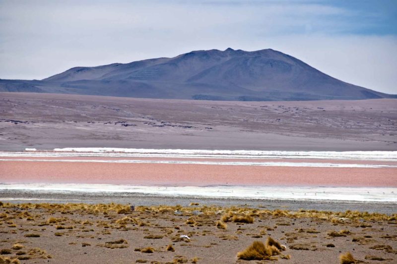 BOLI0163 | 2007, 2007-Bolivien, AMERIKA, Altiplano, Altiplano Bolivien, Bolivien, Laguna Colorada