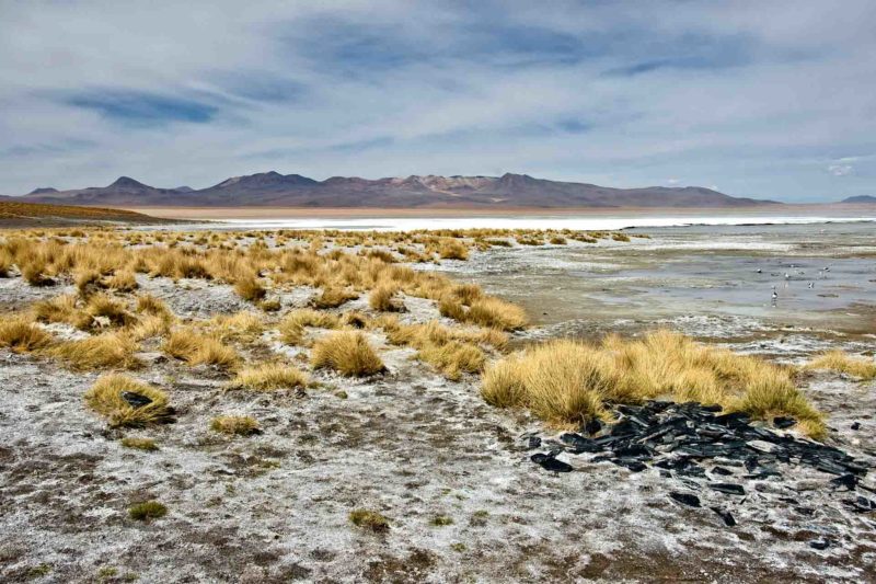 BOLI0171 | 2007, 2007-Bolivien, AMERIKA, Altiplano Bolivien, Bolivien