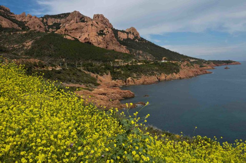 FRAN0021 | 2011, 2011-Frankreich, Corniche de l'Esterel, Cote Azur, EUROPA, Frankreich, Provence