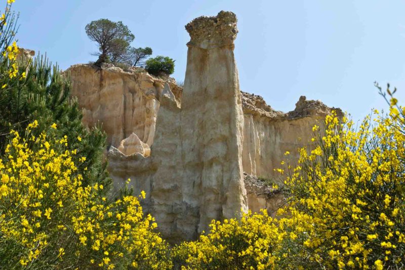 FRAN0121 | 2011, 2011-Frankreich, EUROPA, Frankreich, Les Orgues, Region Perpignan, Roussillon