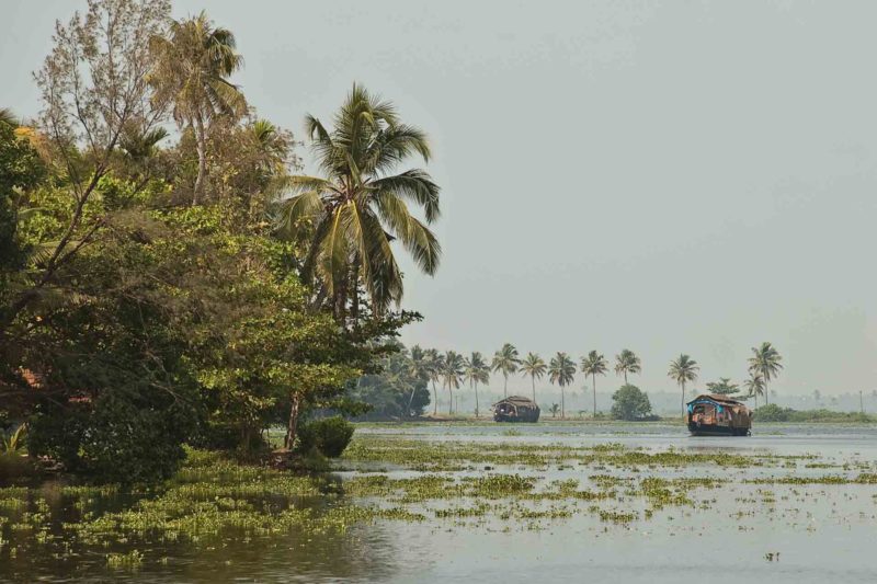 INDI0227 | 2008, 2008-Indien, ASIEN, Backwaters, INDIEN, Kerala, Südindien