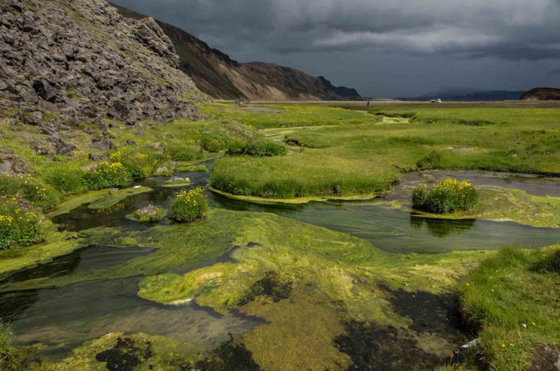 ISLA0002 | 2012, 2012-Island, EUROPA, ISLAND, Island-Südwest, Landmannalaugar