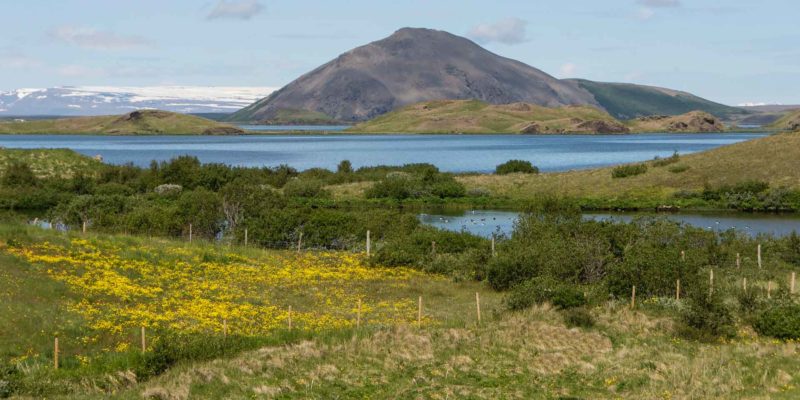 ISLA0034 | 2012, 2012-Island, EUROPA, Gardur, ISLAND, Island-Nordost, Myvatn