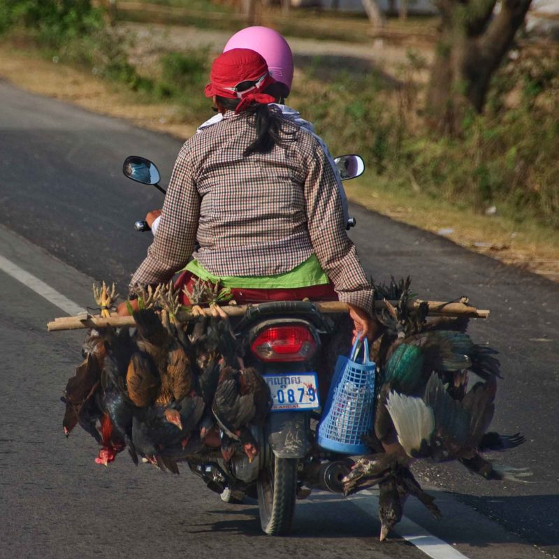 KAMB0002 | 2009, 2009-Kambodscha, ASIEN, Kambodscha, Phnom Penh