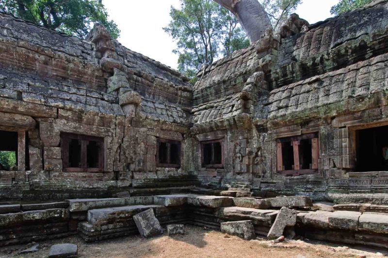 KAMB0110 | 2009, 2009-Kambodscha, ASIEN, Angkor, Kambodscha, Ta Prohm