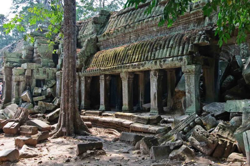 KAMB0111 | 2009, 2009-Kambodscha, ASIEN, Angkor, Kambodscha, Ta Prohm