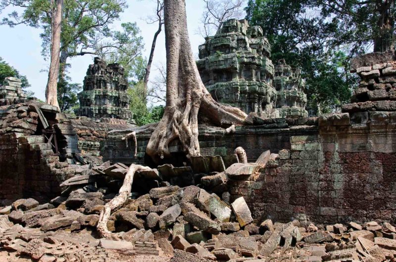 KAMB0112 | 2009, 2009-Kambodscha, ASIEN, Angkor, Kambodscha, Ta Prohm