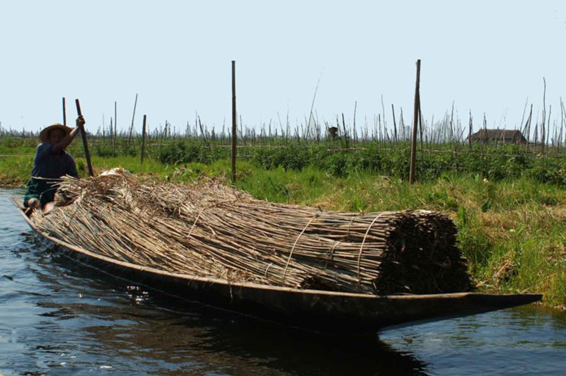 MYAN0101 | 2005, 2005-Myanmar, ASIEN, Inle-See, MYANMAR