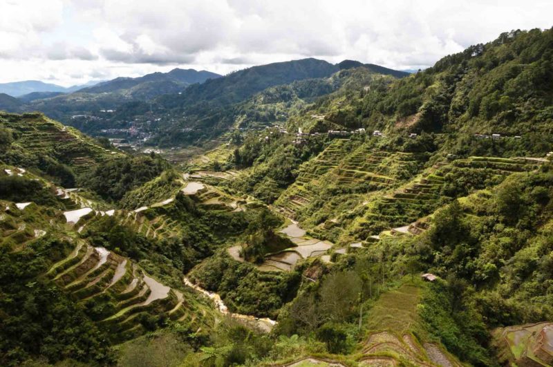 PHIL0077 | 2010, 2010-Philippinen, ASIEN, Banaue-Reisterrassen, PHILIPPINEN