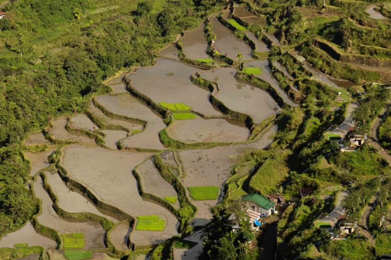 PHIL0085 | 2010, 2010-Philippinen, ASIEN, Banaue-Reisterrassen, PHILIPPINEN