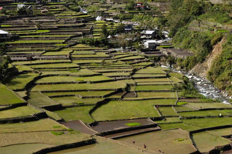 PHIL0086 | 2010, 2010-Philippinen, ASIEN, Banaue-Reisterrassen, PHILIPPINEN