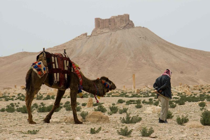 SYRI0291 | 2006, 2006-Syrien, ASIEN, Palmyra, SYRIEN