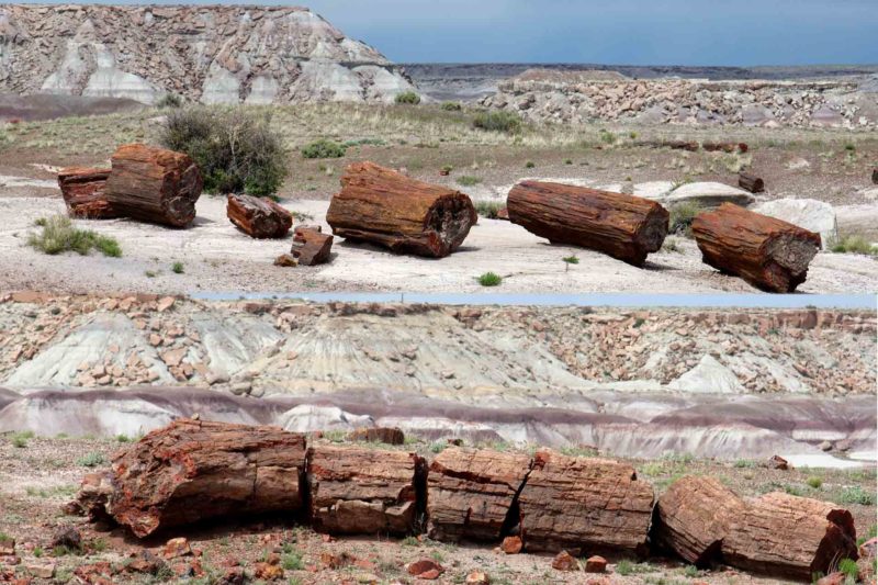 USAX0005 | 2005, 2005-USA, AMERIKA, Colorado-Plateau, Petrified Forest NP, USA