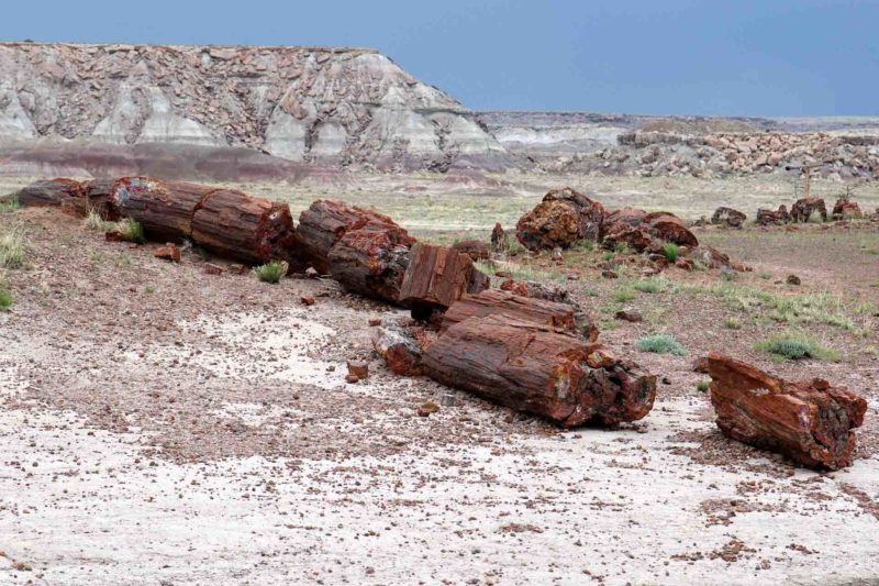 USAX0006 | 2005, 2005-USA, AMERIKA, Colorado-Plateau, Petrified Forest NP, USA