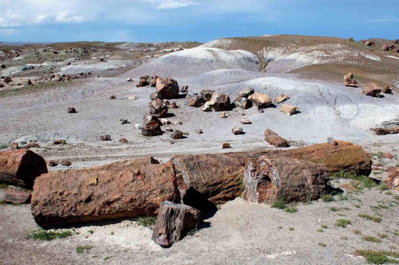 USAX0007 | 2005, 2005-USA, AMERIKA, Colorado-Plateau, Petrified Forest NP, USA