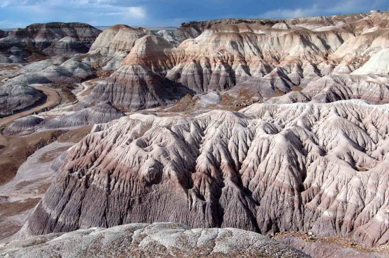 USAX0008 | 2005, 2005-USA, AMERIKA, Colorado-Plateau, Petrified Forest NP, USA