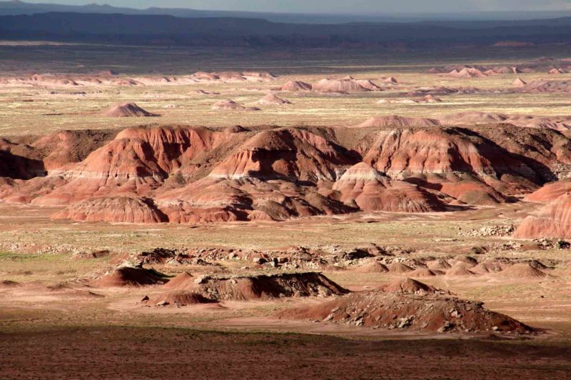 USAX0010 | 2005, 2005-USA, AMERIKA, Colorado-Plateau, Petrified Forest NP, USA