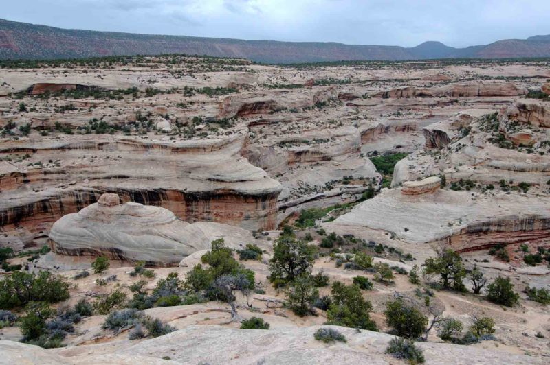 USAX0049 | 2005, 2005-USA, AMERIKA, Colorado-Plateau, Natural Bridges NM, Region Lake Powell, USA