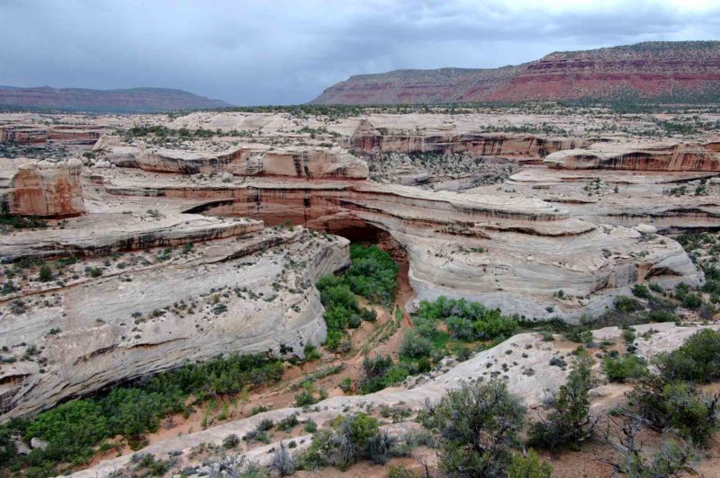 USAX0050 | 2005, 2005-USA, AMERIKA, Colorado-Plateau, Natural Bridges NM, Region Lake Powell, USA