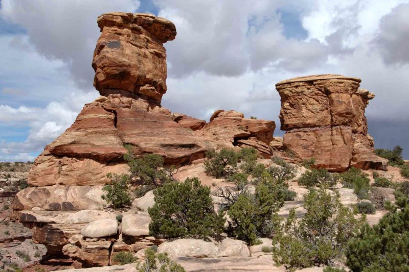 USAX0052 | 2005, 2005-USA, AMERIKA, Canyonlands NP, Colorado-Plateau, The Needles, USA