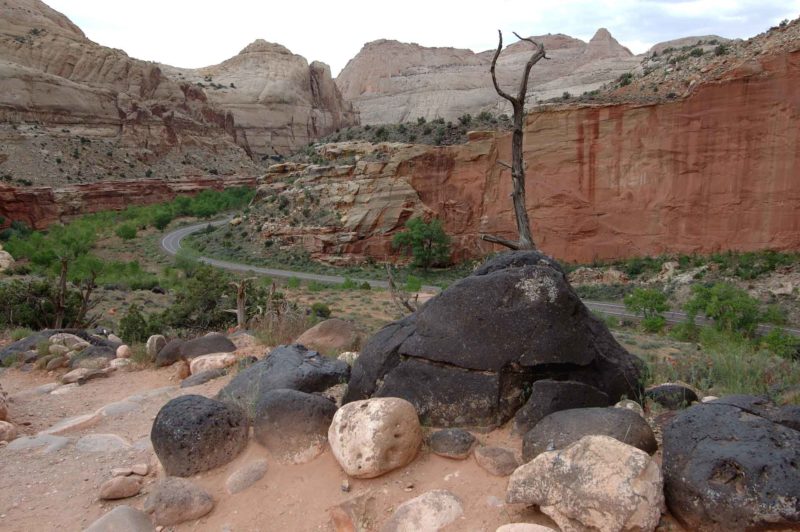 USAX0089 | 2005, 2005-USA, AMERIKA, Capitol Reef NP, Colorado-Plateau, Region Capitol Reef NP, USA