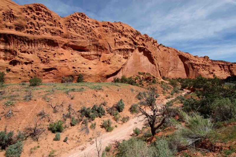 USAX0095 | 2005, 2005-USA, AMERIKA, Burr Trail Road, Colorado-Plateau, Region Capitol Reef NP, USA