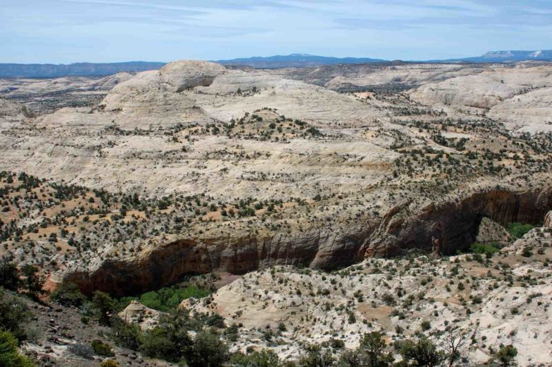 USAX0097 | 2005, 2005-USA, AMERIKA, Colorado-Plateau, Escalante NM, Highway 12, Region Capitol Reef NP, USA