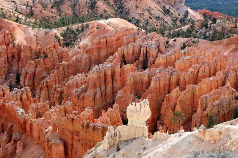 USAX0101 | 2005, 2005-USA, AMERIKA, Bryce Canyon NP, Colorado-Plateau, USA