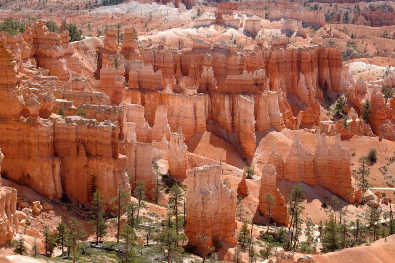 USAX0107 | 2005, 2005-USA, AMERIKA, Bryce Canyon NP, Colorado-Plateau, USA