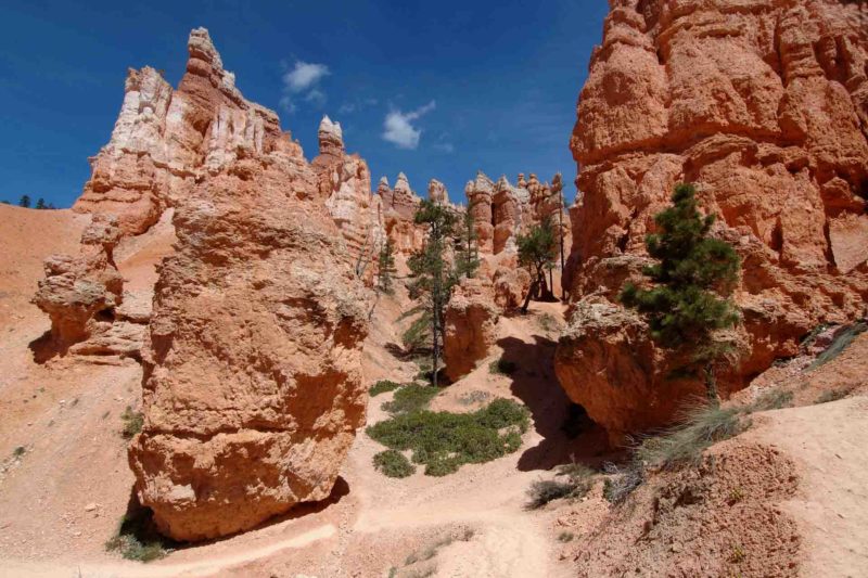 USAX0110 | 2005, 2005-USA, AMERIKA, Bryce Canyon NP, Colorado-Plateau, USA