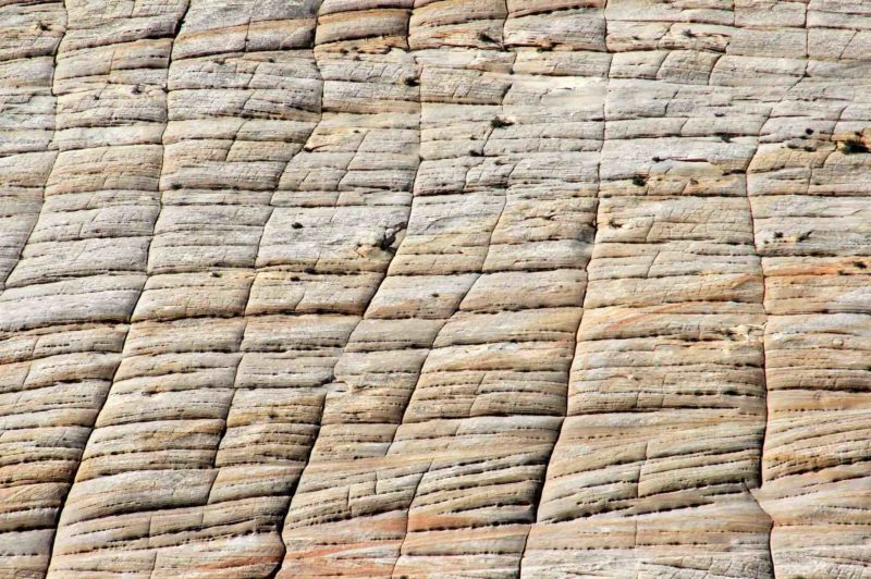 USAX0116 | 2005, 2005-USA, AMERIKA, Checkerboard Mesa, Colorado-Plateau, USA, Zion NP