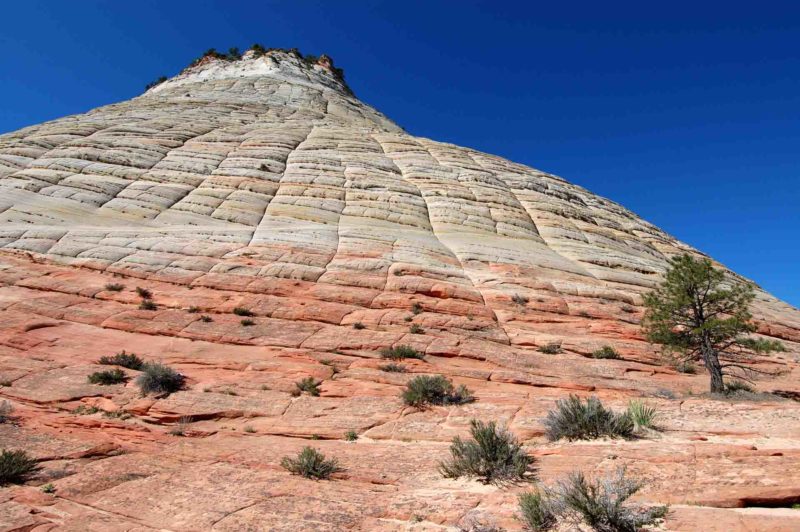 USAX0117 | 2005, 2005-USA, AMERIKA, Checkerboard Mesa, Colorado-Plateau, USA, Zion NP