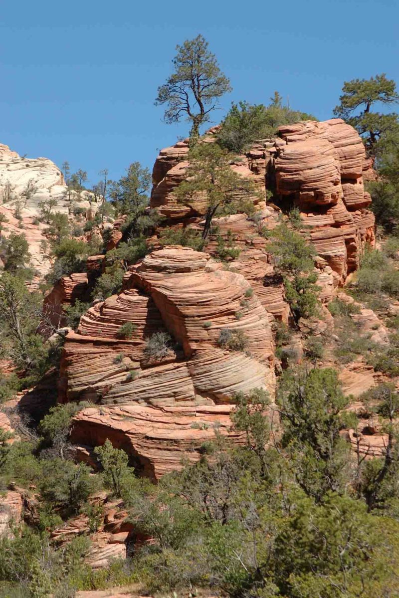 USAX0118 | 2005, 2005-USA, AMERIKA, Colorado-Plateau, USA, Zion NP