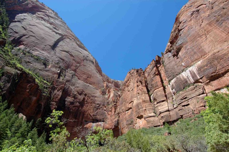 USAX0121 | 2005, 2005-USA, AMERIKA, Colorado-Plateau, USA, Zion NP