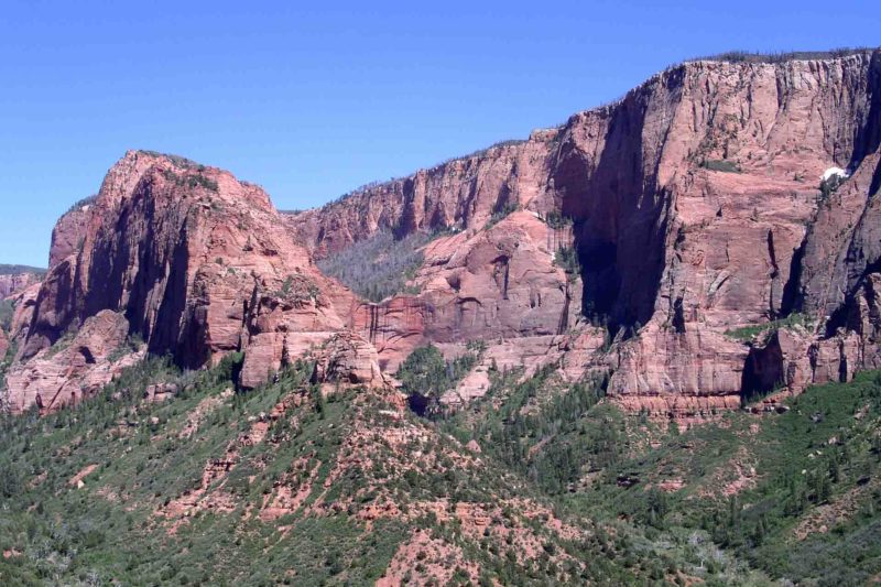 MINOLTA DIGITAL CAMERA | 2005, 2005-USA, AMERIKA, Colorado-Plateau, USA, Zion NP