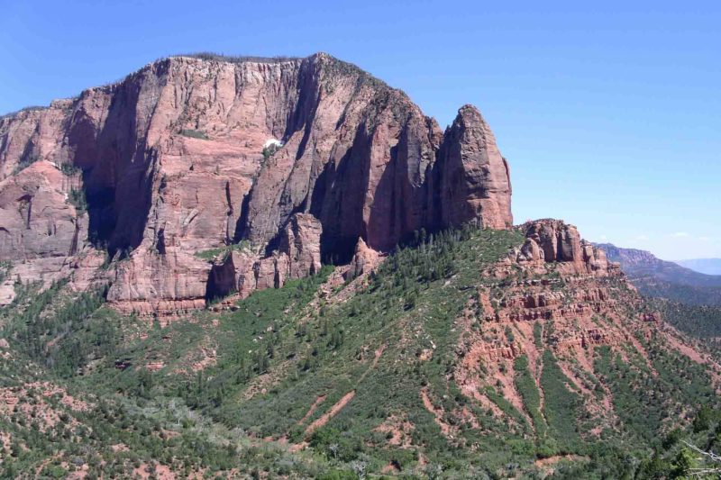 MINOLTA DIGITAL CAMERA | 2005, 2005-USA, AMERIKA, Colorado-Plateau, USA, Zion NP