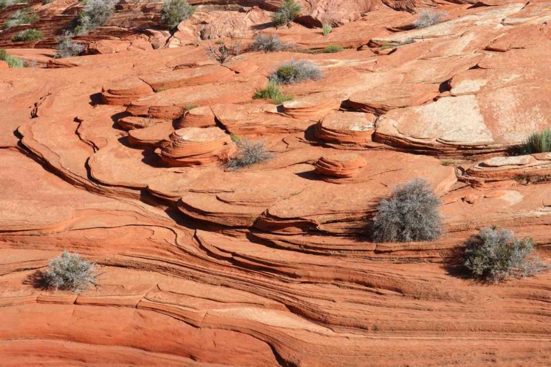 USAX0127 | 2005, 2005-USA, AMERIKA, Colorado-Plateau, Region The Wave, The Wave, USA