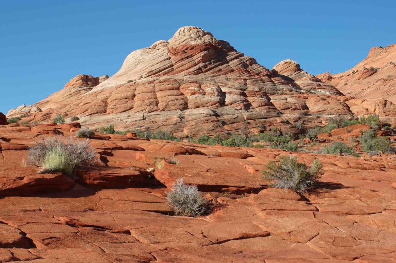 USAX0129 | 2005, 2005-USA, AMERIKA, Colorado-Plateau, Region The Wave, The Wave, USA