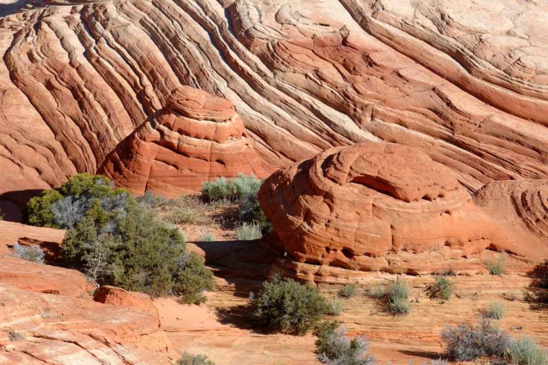 USAX0131 | 2005, 2005-USA, AMERIKA, Colorado-Plateau, Region The Wave, The Wave, USA