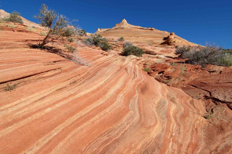 USAX0133 | 2005, 2005-USA, AMERIKA, Colorado-Plateau, Region The Wave, The Wave, USA