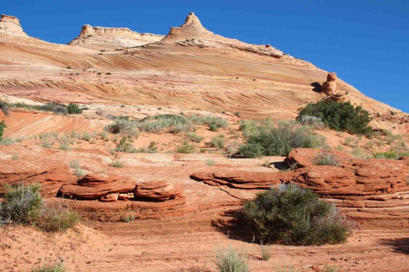 USAX0135 | 2005, 2005-USA, AMERIKA, Colorado-Plateau, Region The Wave, The Wave, USA